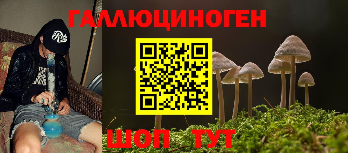 Псилоцибиновые грибы GOLDEN TEACHER Михайловка
